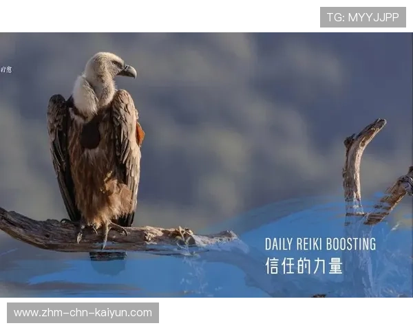 被团队信任的力量：合作共赢的幕后秘密，团队合作中相互信任的重要性